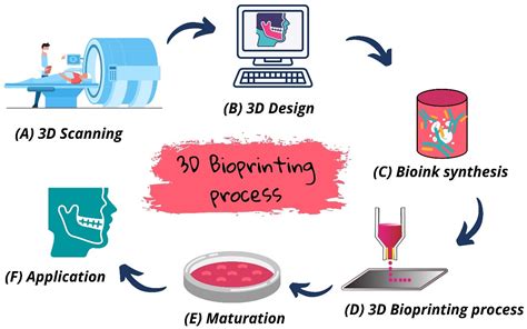 3d bioprinting definition|An Introduction to 3D Bioprinting: Possibilities, Challenges and .